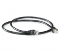Lex RJ-45 Cable